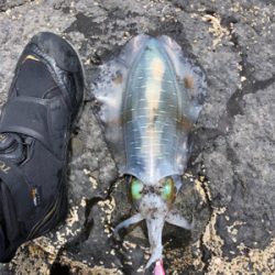 なんとか釣れたぁ〜