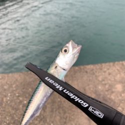 梅雨空のサバゲーム