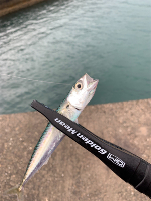 梅雨空のサバゲーム