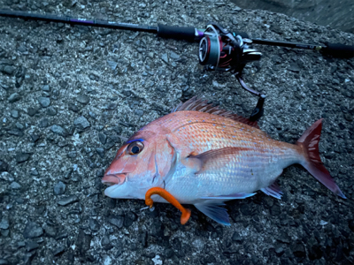 ガシリングレッド!!