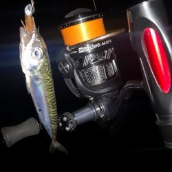 アジング練習　303　椅子を忘れました