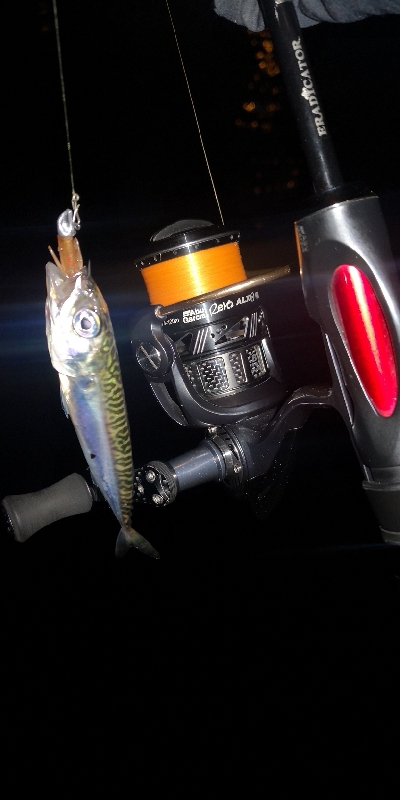 アジング練習　303　椅子を忘れました