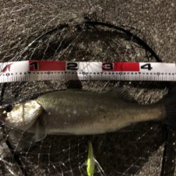 夜のナイスファイター