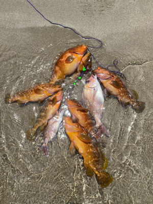 ゴムボート釣行！