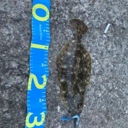 デイライトゲーム