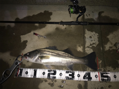 バラしまくり(>_<)