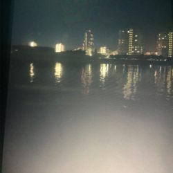 ライトショアジギングからの〜❗️