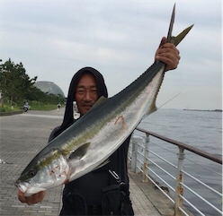 鋼の心燃やし続け鰤93cm。。