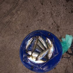 台風並みの強風