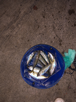 台風並みの強風