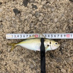 なんとか数だけは…