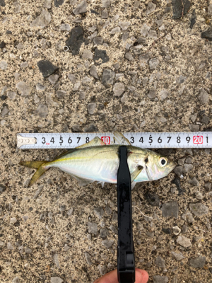 なんとか数だけは…