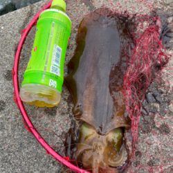 アオリ＆キス！