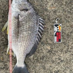 目印スライダー