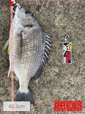 目印スライダー