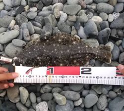 コロナ明け、久々のフラットです