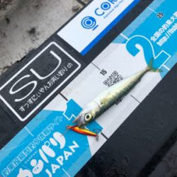 マイクロジグ釣行