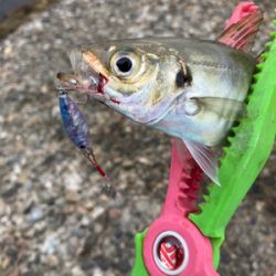 メタルアジング