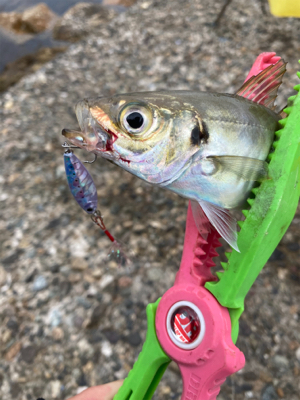 メタルアジング