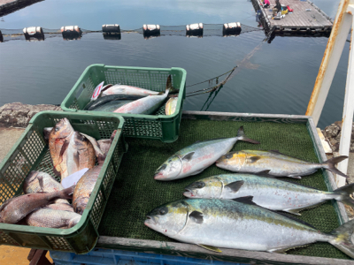 じゃのひれフィッシングパークさんにて