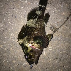 レンジ下げ気味