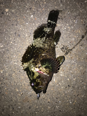 レンジ下げ気味