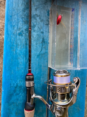 淀川ハゼクラ　濁りはダメ