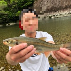 アマゴ狙います