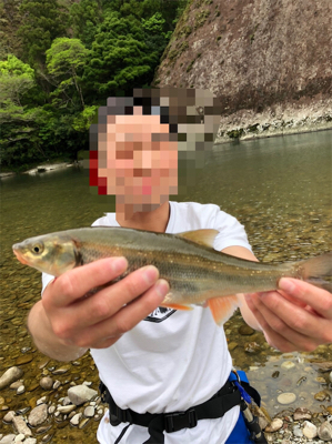 アマゴ狙います