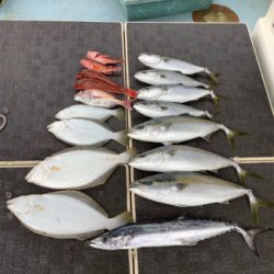 イワシパターン