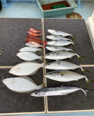 イワシパターン