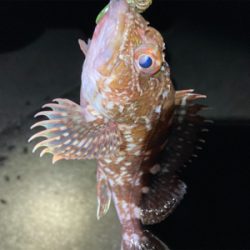 結果的ガシリング