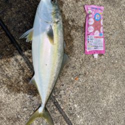 エレベータ式でメジロゲット！