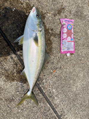 エレベータ式でメジロゲット！