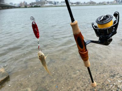 ハゼクラにどハマり