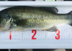 そろそろ厳しい季節