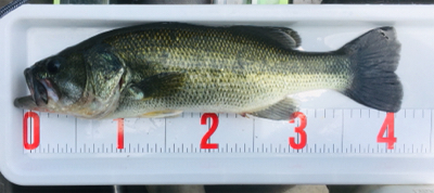 そろそろ厳しい季節