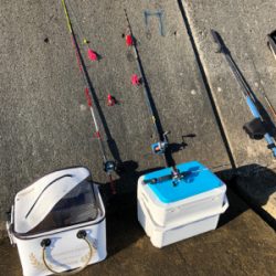 久々の一文字で〜す❗️