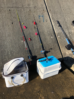 久々の一文字で〜す❗️