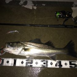 PLEX85ありがとう！