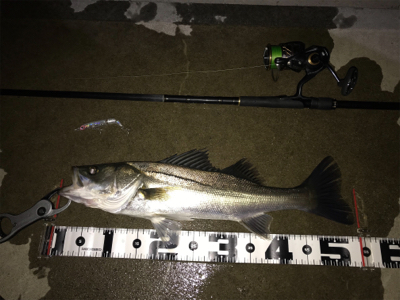 PLEX85ありがとう！