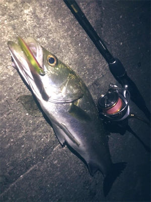 バチパターン終わり気味？