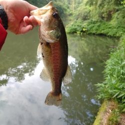 雨後のクランキング