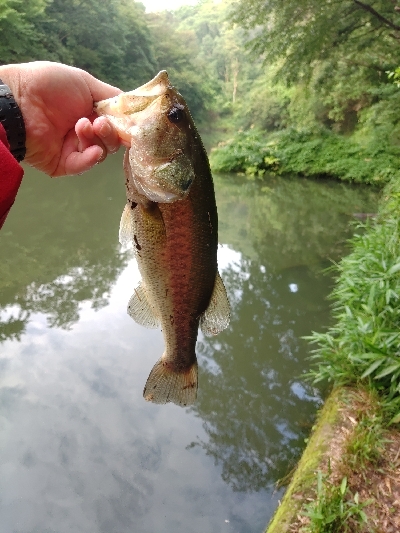 雨後のクランキング