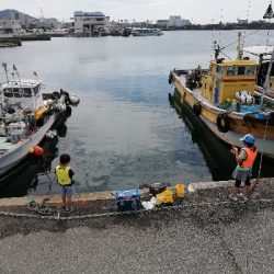 ファミリーフィシング