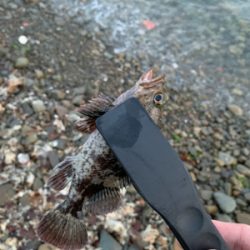 父の日のライトゲーム