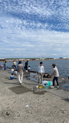 アジ釣り、キス釣り