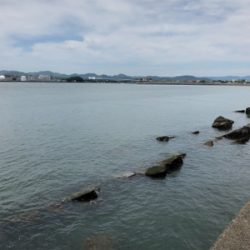 久しぶりにメバル