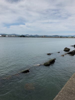 久しぶりにメバル