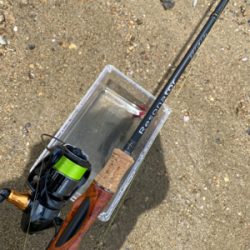 土日より平日の方がハゼクラは釣れる。